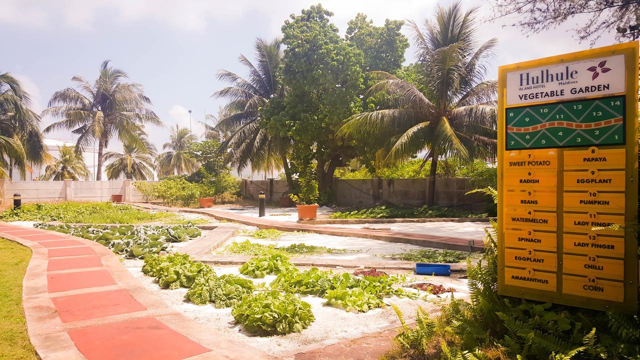 מאלה Hulhule Island Hotel מראה חיצוני תמונה